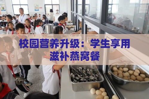 校园营养升级：学生享用滋补燕窝餐