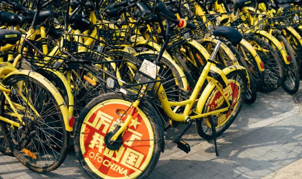 绿色环保减肥产品的兴起