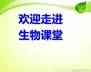 《第一节 发酵技术》PPT课件(山东省市级优课).ppt