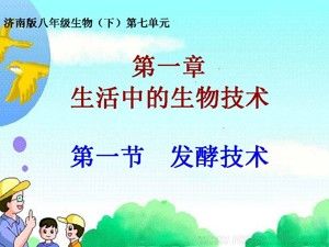 《第一节 发酵技术》PPT课件(山东省县级优课).ppt