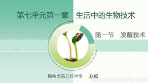 《第一节 发酵技术》PPT课件(湖北省省级优课).ppt