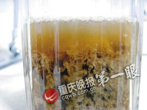 　　■可乐加入牛奶后出现大量絮状沉淀物，但没有变成清水。