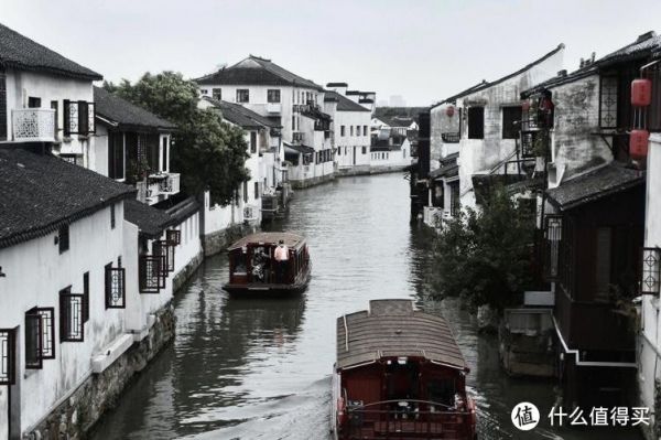 《食品中化学污染物的检测与控制》