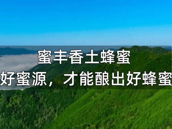 減肥喝白醋起什么功效_喝白醋能減肥嗎怎么喝法_減肥喝白醋還是食醋