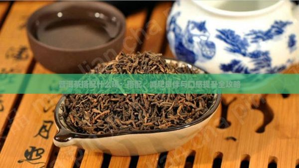 普洱茶搭配什么喝：搭配、減肥良伴與口感提升全攻略