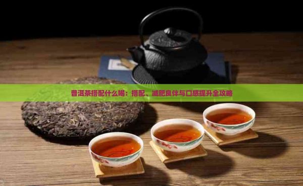 普洱茶搭配什么喝：搭配、減肥良伴與口感提升全攻略
