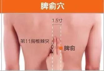 脾俞穴