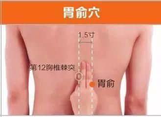 胃俞穴