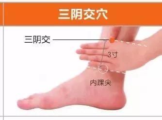 三陰交穴