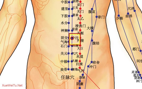 胸