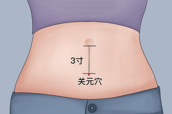 關(guān)元穴位置圖