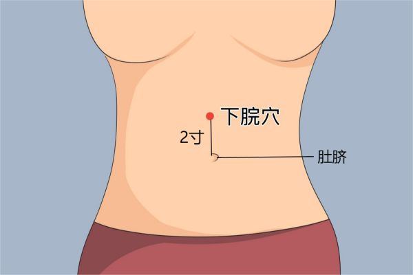 下脘穴位置圖