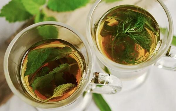 涼茶 草藥 T恤 薄荷 圣人 茴香的味道 健康 喝 藥材 愈合 葉子 草藥茶 草藥植物