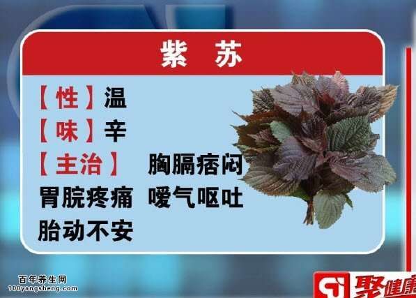 紫蘇葉的功效與作用