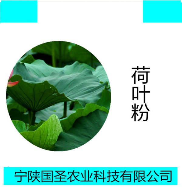 荷葉_副本