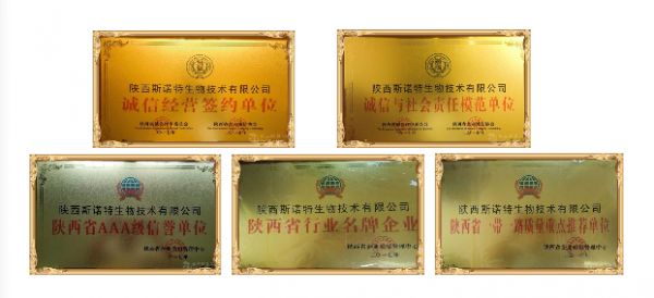 陜西斯諾特證書