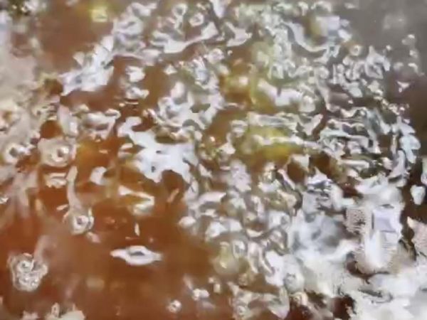 純奶手撕吐司的做法 步驟1