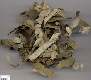 荷葉