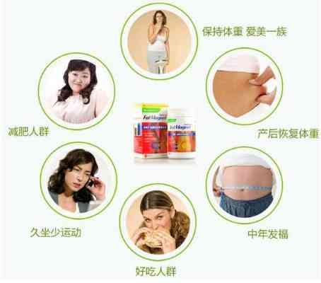 慈福堂牌胶囊：减肥效果与安全性深度解析