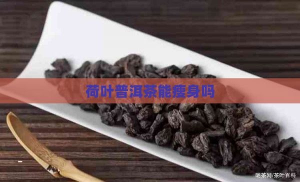荷葉普洱茶能瘦身嗎