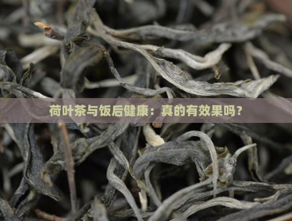 荷葉茶與飯后健康：真的有效果嗎？