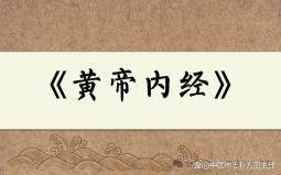 文章圖片