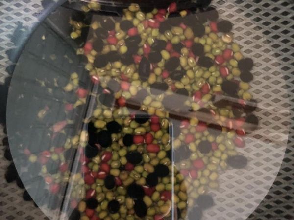 純奶手撕吐司的做法 步驟1