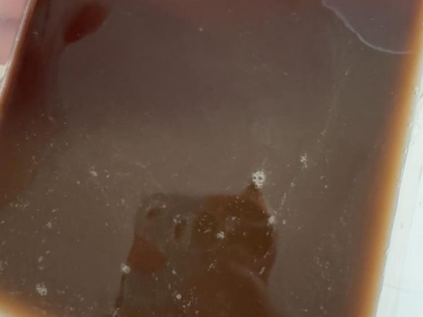 純奶手撕吐司的做法 步驟1