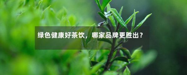 綠色健康好茶飲，哪家品牌更勝出？-第1張-綠茶-鳳凰單叢茶網(wǎng)