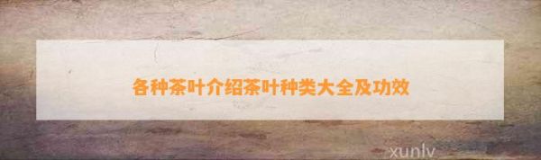 各种茶叶介绍茶叶种类大全及功效