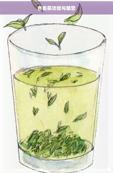 各類(lèi)茶功效與禁忌