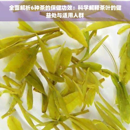 全面解析6種茶的保健功效：科學(xué)解釋茶葉的健益處與適用人群
