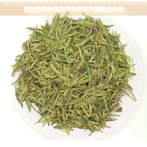 茶葉種類(lèi)及其功效與適宜飲用者的詳述