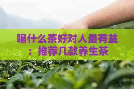 喝什么茶好對(duì)人最有益：推薦幾款養(yǎng)生茶