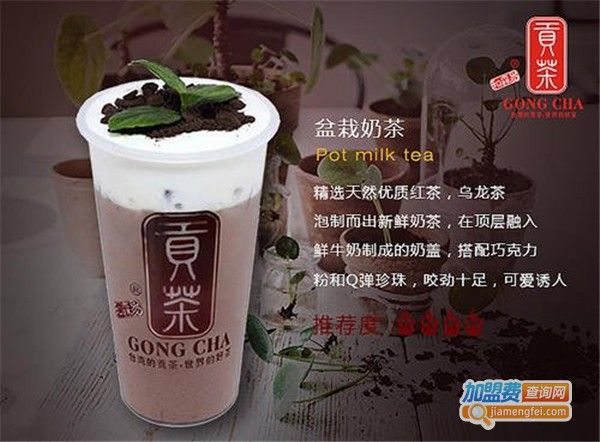 貢茶奶茶加盟店