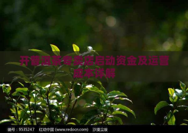 開普洱茶專賣店啟動(dòng)資金及運(yùn)營成本詳解