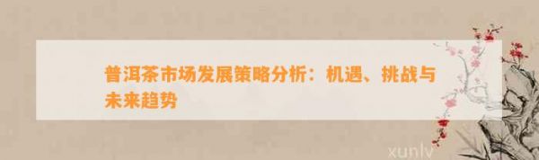 普洱茶市场发展策略分析：机遇、挑战与未来趋势