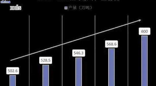 普洱茶产业的未来发展趋势与前景分析