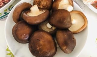 海底撈豬肚雞湯底系粉料沖泡