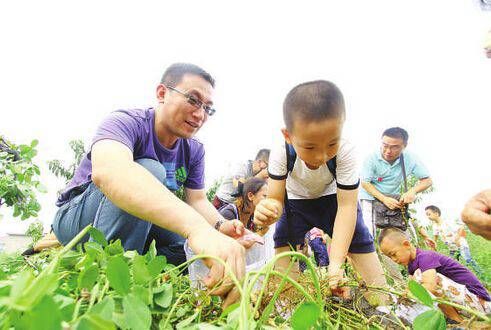 田园综合体