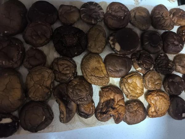 純奶手撕吐司的做法 步驟1