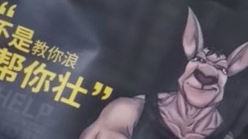 袋鼠先生30包纯鸡胸肉即食低脂健身代餐开袋速食