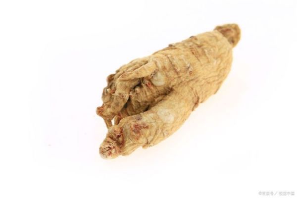 文章圖片