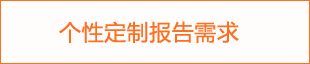 個性定制報告需求