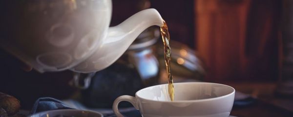 陳皮茯苓茶適用人群 陳皮的作用 茯苓的作用