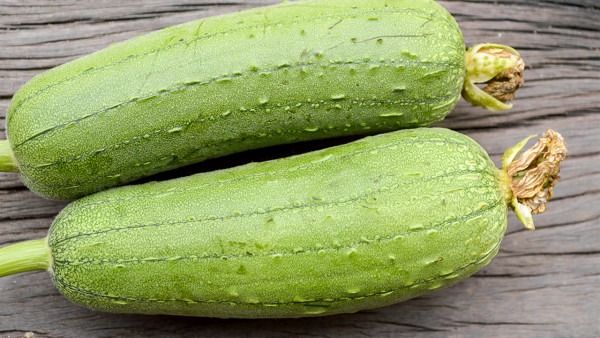 絲瓜是腎病“加速器”？醫(yī)生：不想腎臟“罷工”，這5物最好忌口