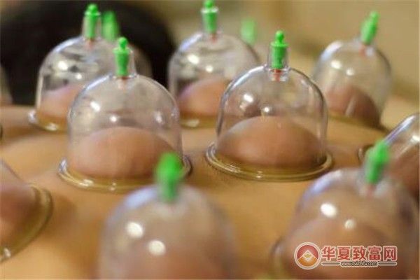 经络拔罐减肥加盟