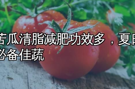 苦瓜清脂減肥功效多，夏日必備佳蔬