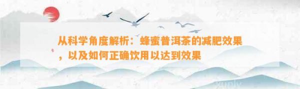 從科學(xué)角度解析：蜂蜜普洱茶的減肥效果，以及如何正確飲用以達(dá)到效果