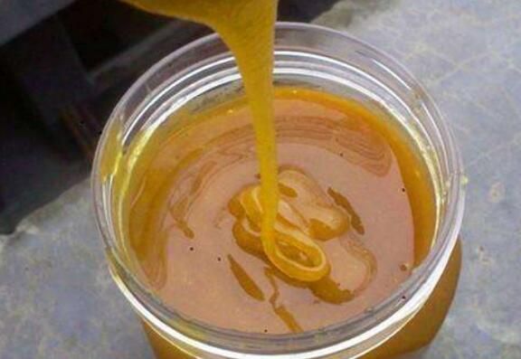 土蜂蜜的十大功效